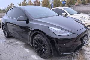 Model Y 特斯拉 后轮驱动版