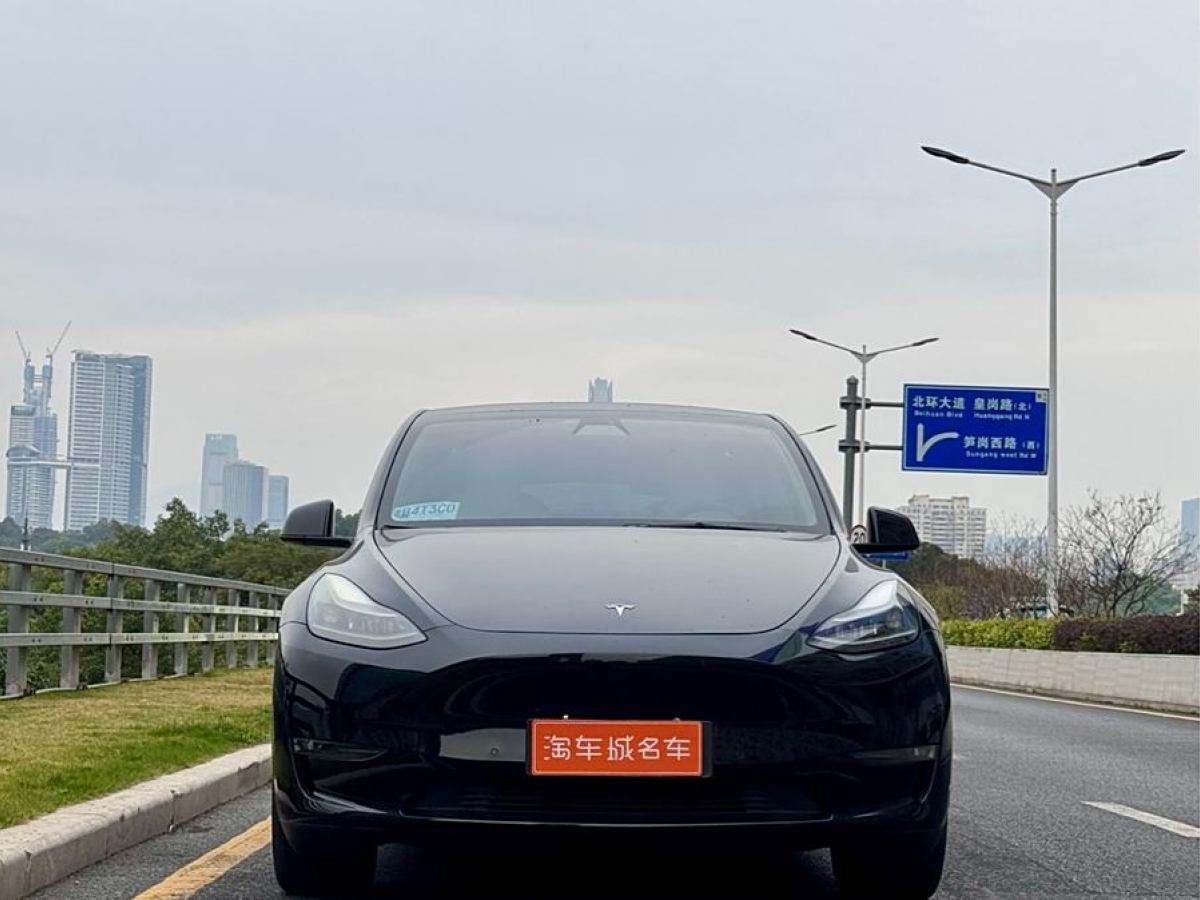 特斯拉 Model 3  2021款 改款 標準續(xù)航后驅升級版圖片