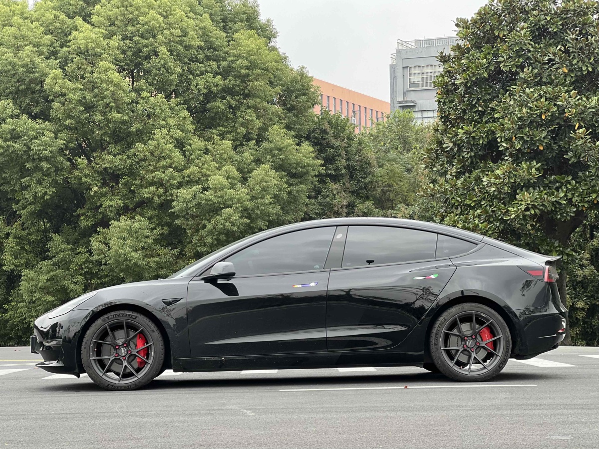 特斯拉 Model 3  2019款 Performance高性能全輪驅(qū)動(dòng)版圖片