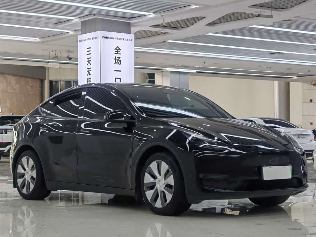 特斯拉 Model Y  2021款 標(biāo)準(zhǔn)續(xù)航后驅(qū)版圖片