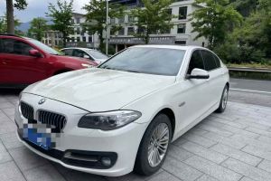 寶馬5系 寶馬 530Li 2.0T 豪華設計套裝