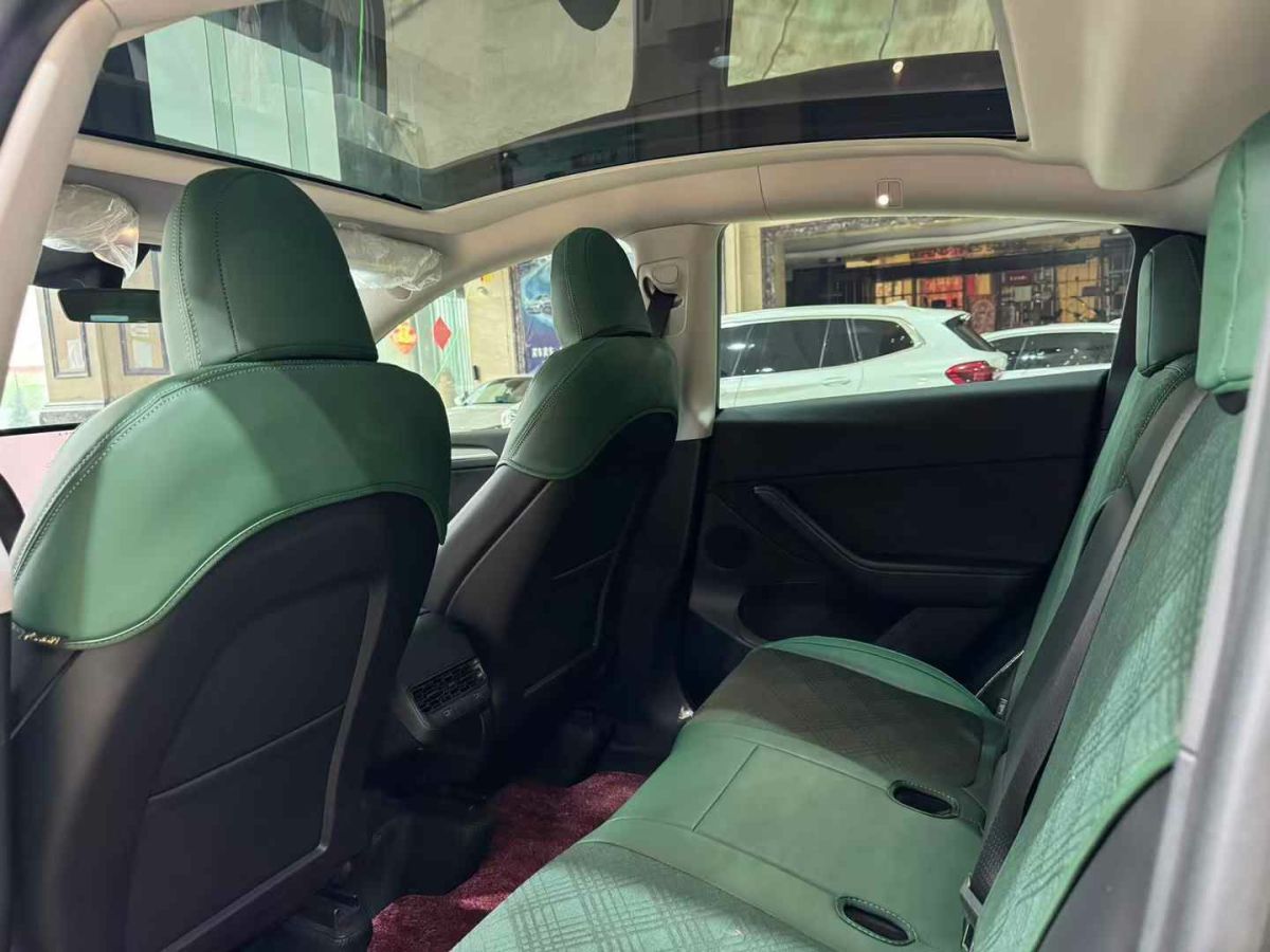 特斯拉 Model Y  2024款 Performance高性能版圖片