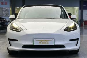 Model 3 特斯拉 Performance高性能全輪驅(qū)動(dòng)版