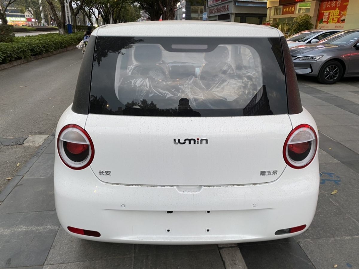 長(zhǎng)安 長(zhǎng)安Lumin  2024款 205km 啟航版圖片