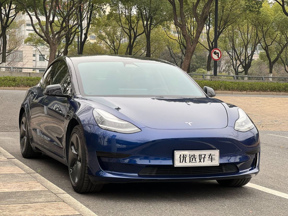 特斯拉 Model 3  2019款 標準續(xù)航后驅(qū)升級版圖片