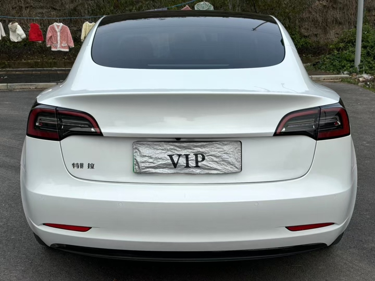 特斯拉 Model 3  2022款 后輪驅(qū)動版圖片