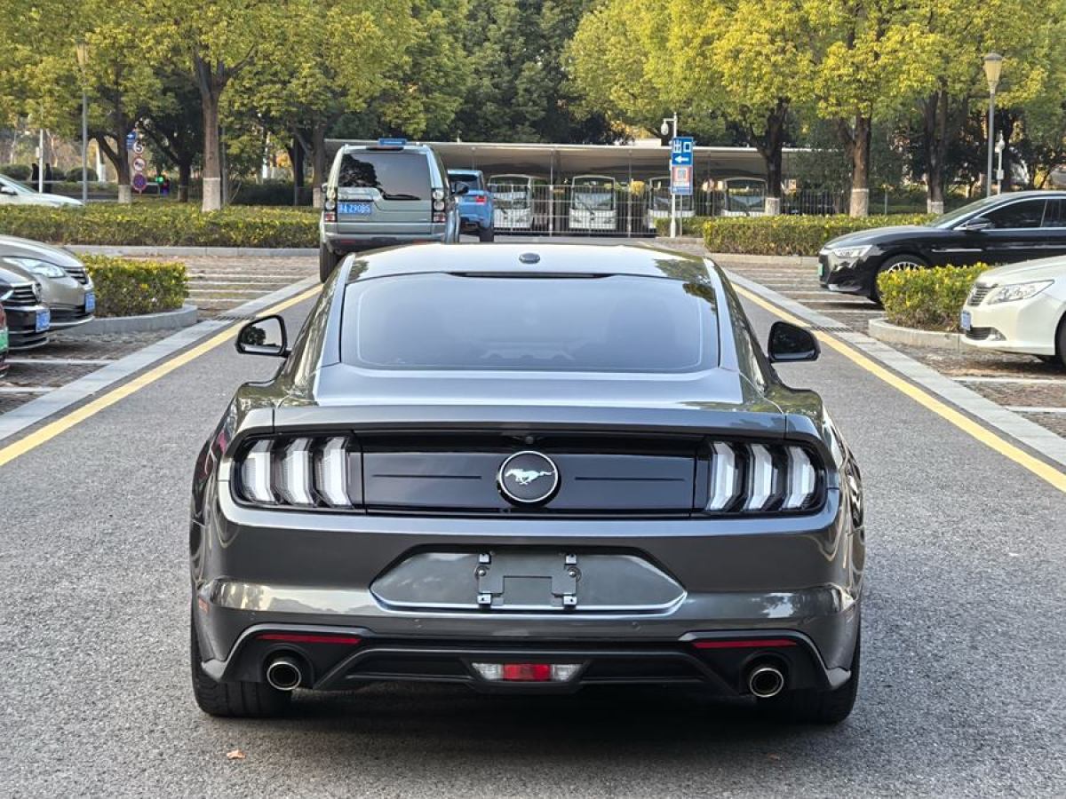 福特 Mustang  2019款 2.3L EcoBoost 性能加強版圖片