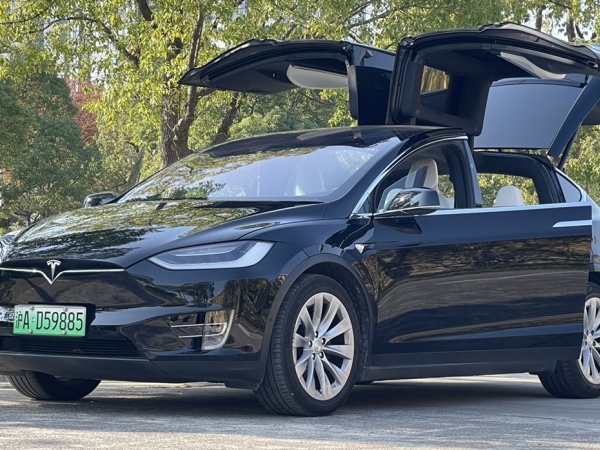 特斯拉 Model X  2019款 标准续航版