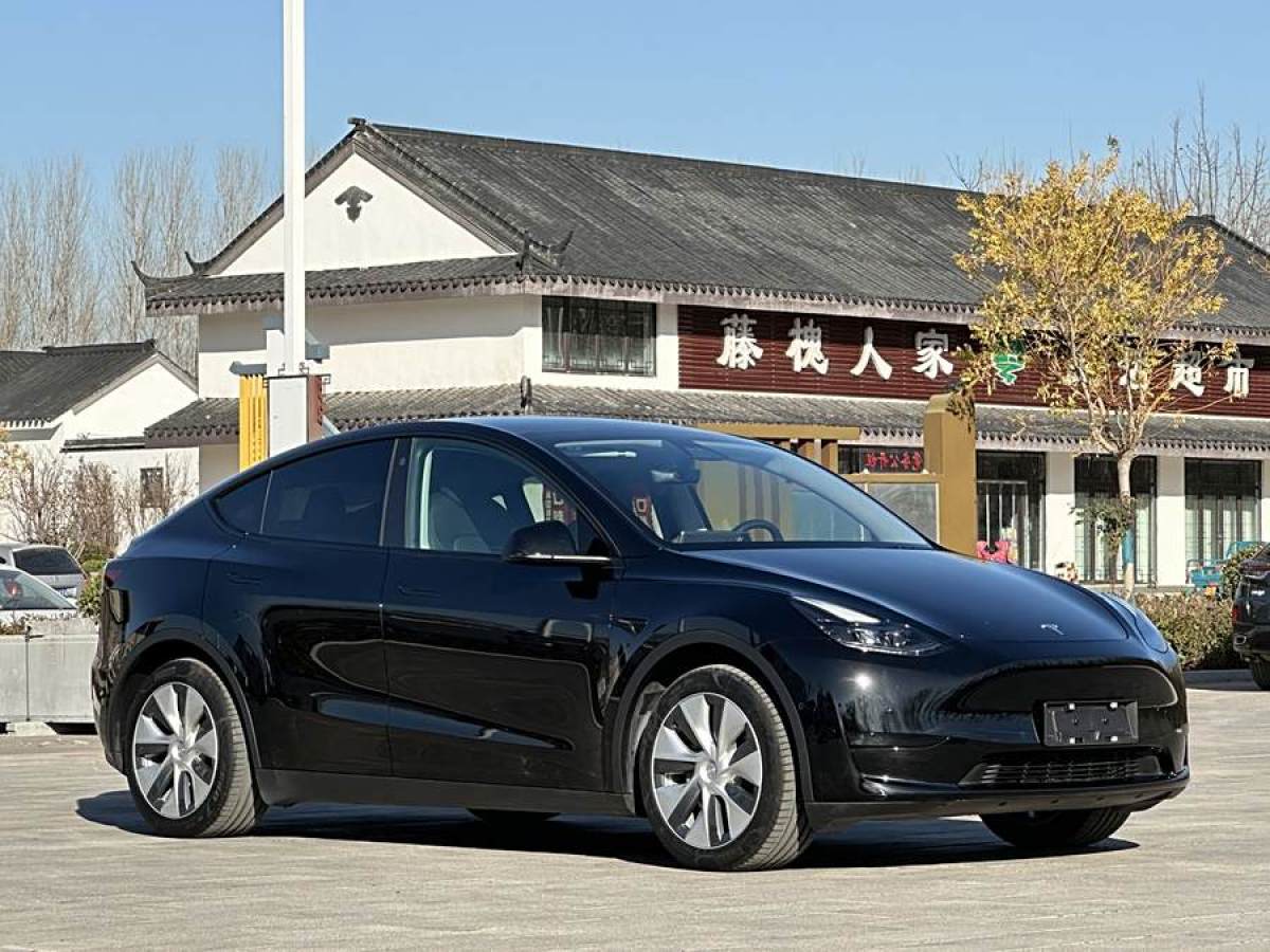 特斯拉 Model 3  2020款 改款 長續(xù)航后輪驅(qū)動版圖片