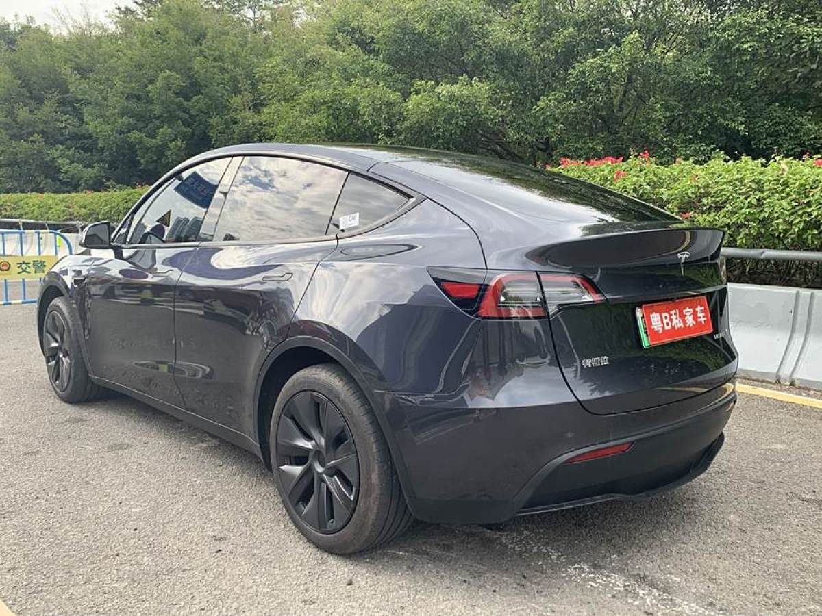 特斯拉 Model 3  2020款 改款 長(zhǎng)續(xù)航后輪驅(qū)動(dòng)版圖片