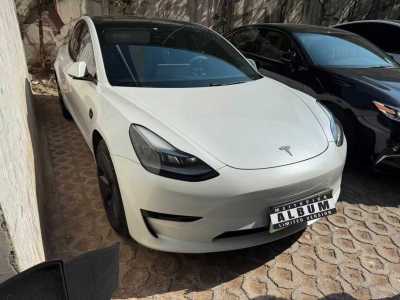 2021年2月 特斯拉 Model 3 標(biāo)準(zhǔn)續(xù)航后驅(qū)升級(jí)版 3D6圖片