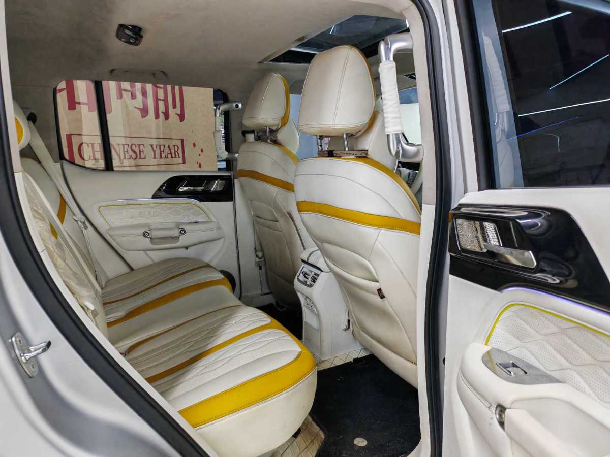 坦克 坦克300共創(chuàng)  2021款 2.0T 賽博坦克圖片
