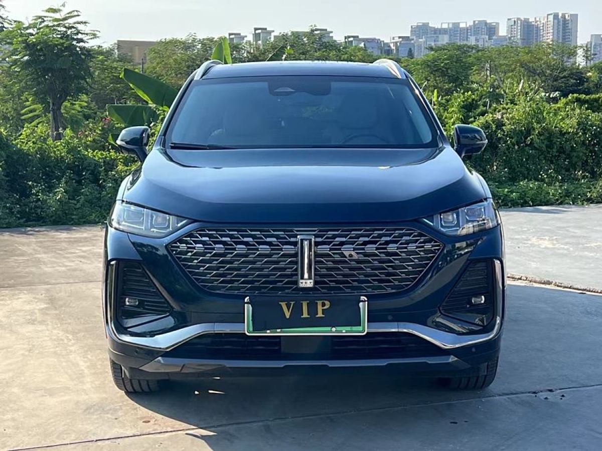 WEY 拿鐵DHT-PHEV  2022款 1.5T 兩驅(qū)超大杯圖片