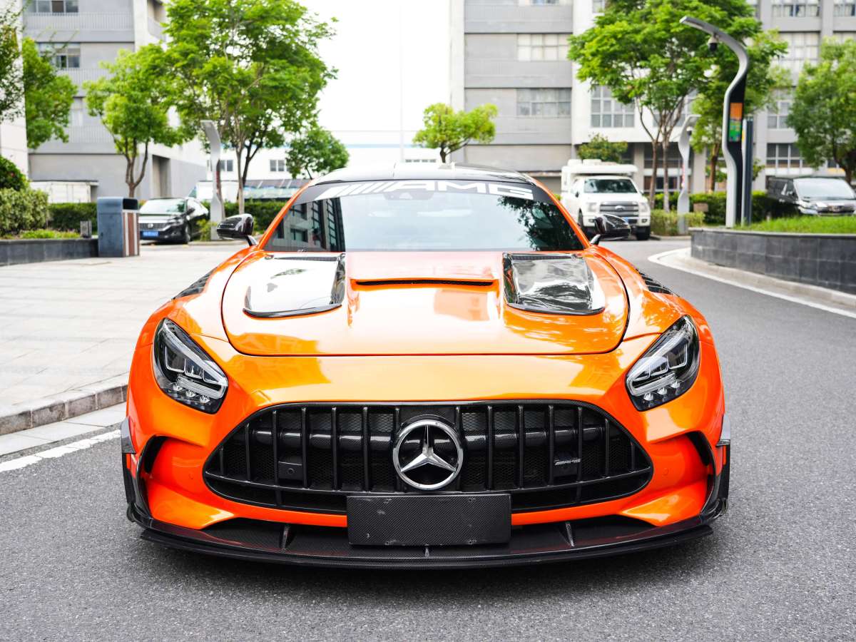 奔馳 奔馳AMG GT  2019款 AMG GT圖片