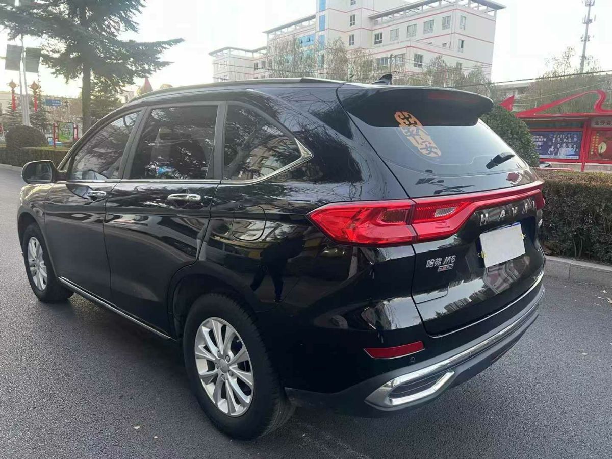 哈弗 M6  2021款 PLUS 1.5T DCT柳巖聯(lián)名版圖片