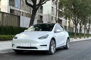 Model 3 特斯拉 Performance高性能全輪驅(qū)動(dòng)版