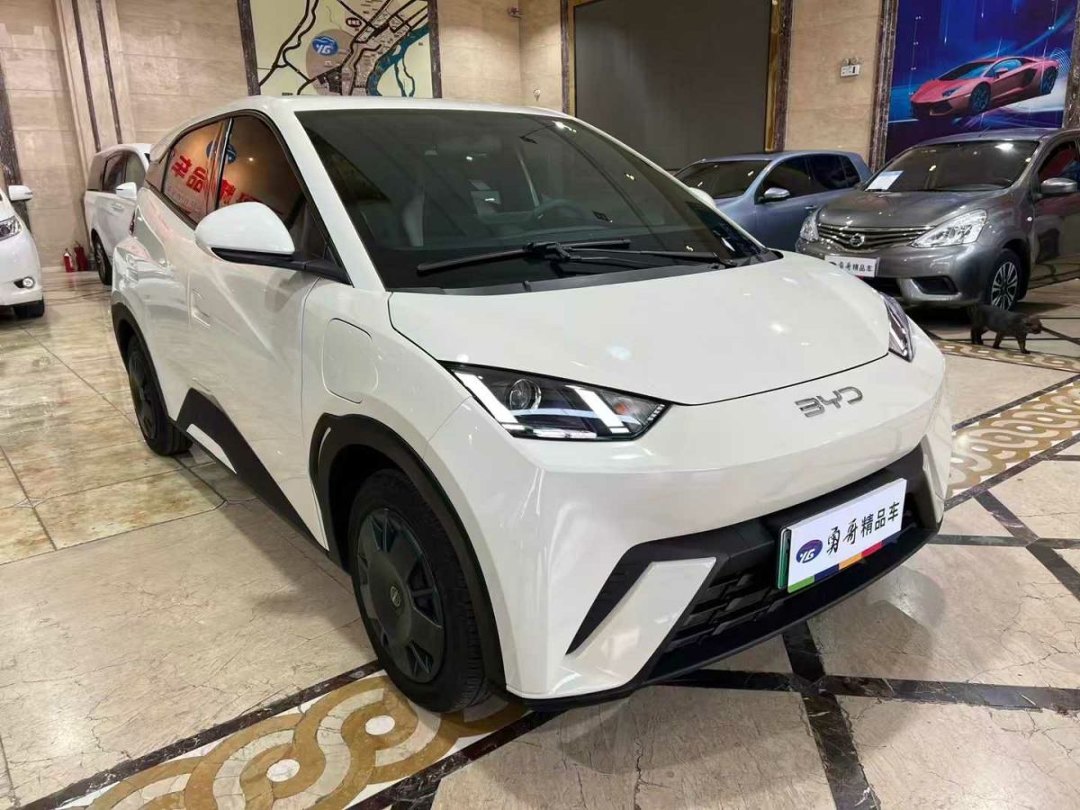 比亞迪 宋L DM-i  2024款 112km 超越型圖片