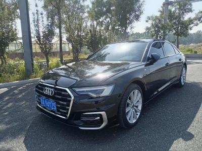 2023年3月 奧迪 奧迪A6L 改款 45 TFSI 臻選動(dòng)感型圖片