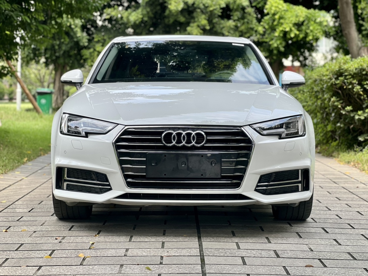 奥迪 奥迪A4L  2019款 40 TFSI 进取型 国V图片