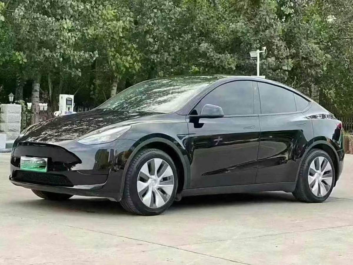 特斯拉 Model Y  2022款 后輪驅(qū)動(dòng)版圖片