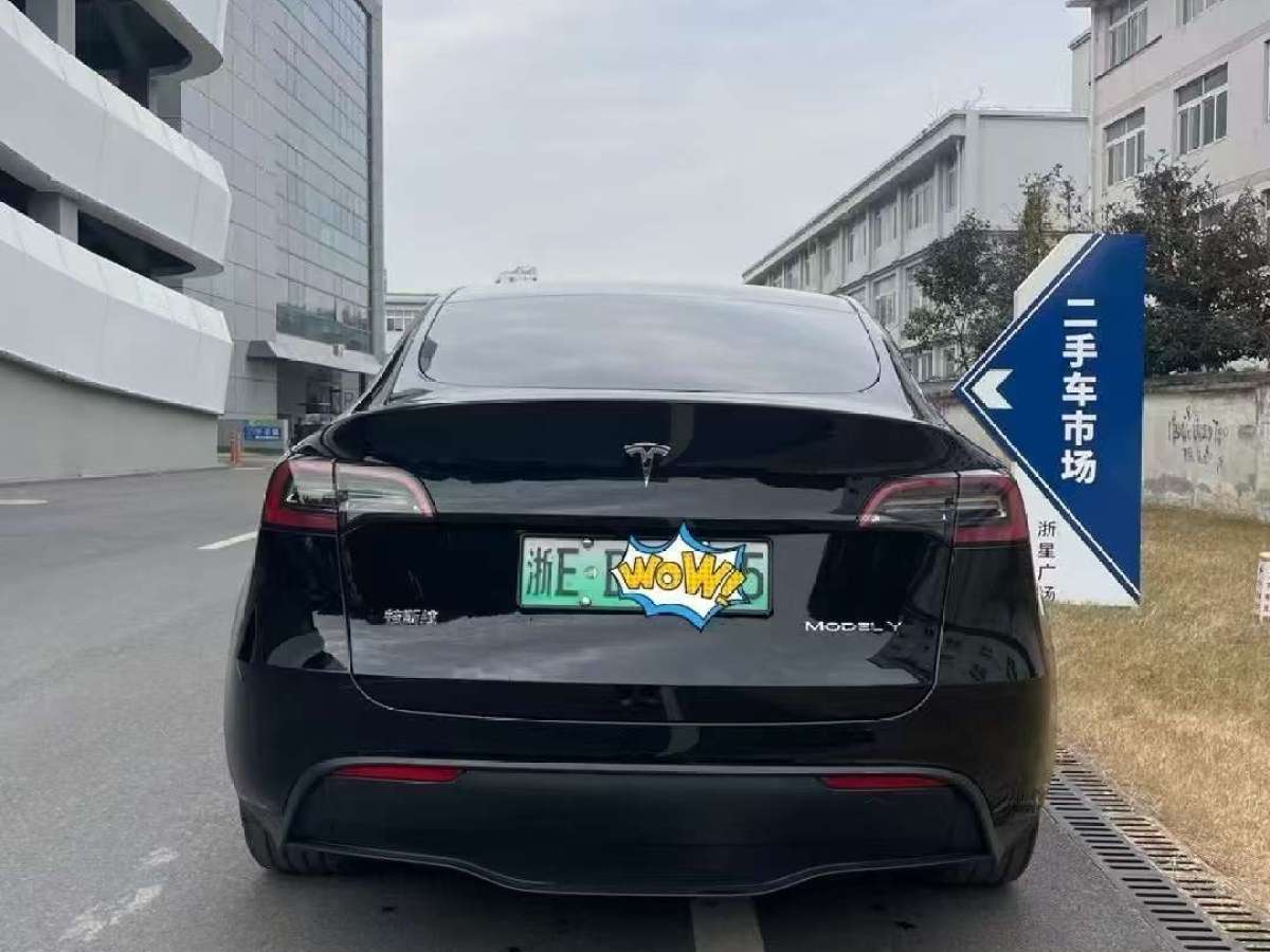 特斯拉 Model 3  2022款 后輪驅(qū)動(dòng)版圖片