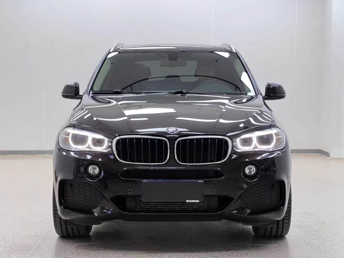寶馬 寶馬X5  2017款 xDrive35i 典雅型圖片
