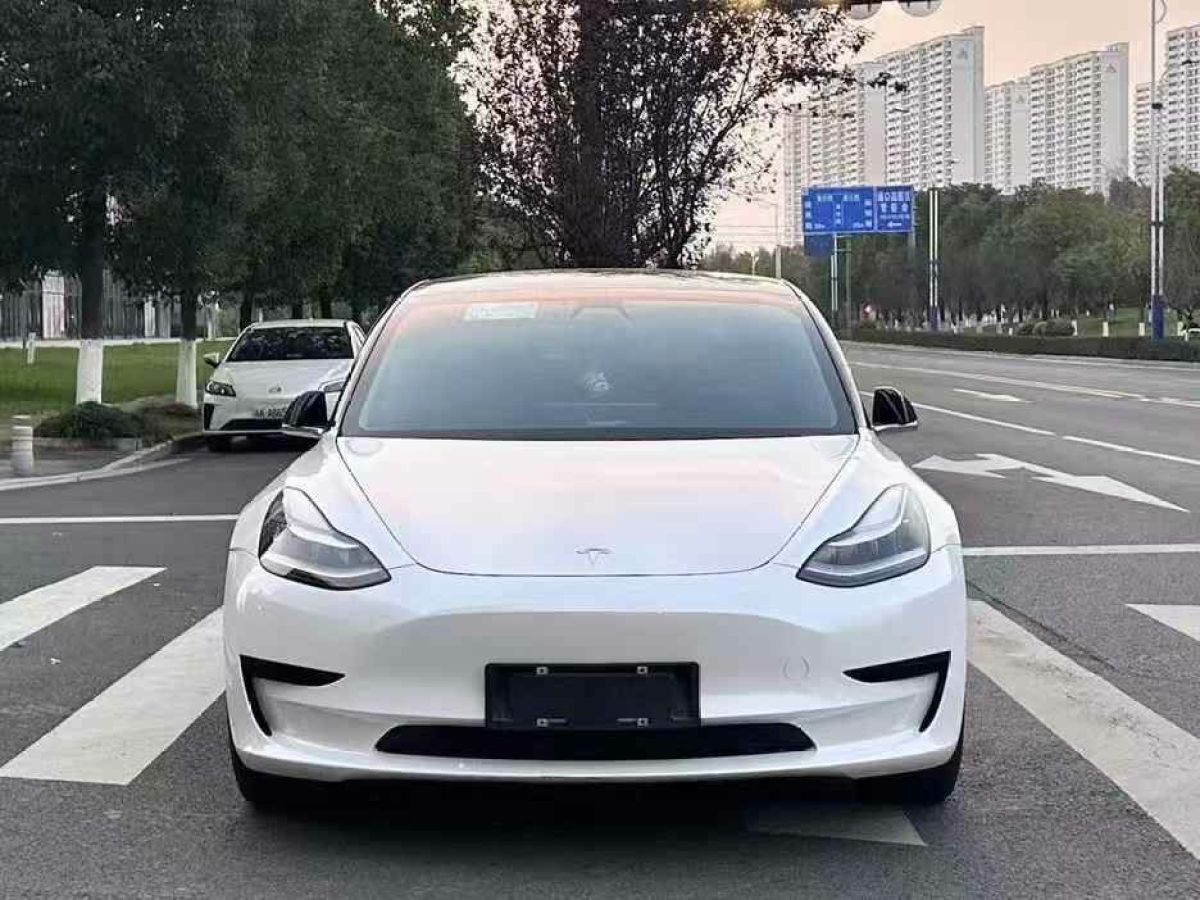 特斯拉 Model X  2020款 Performance 高性能版圖片