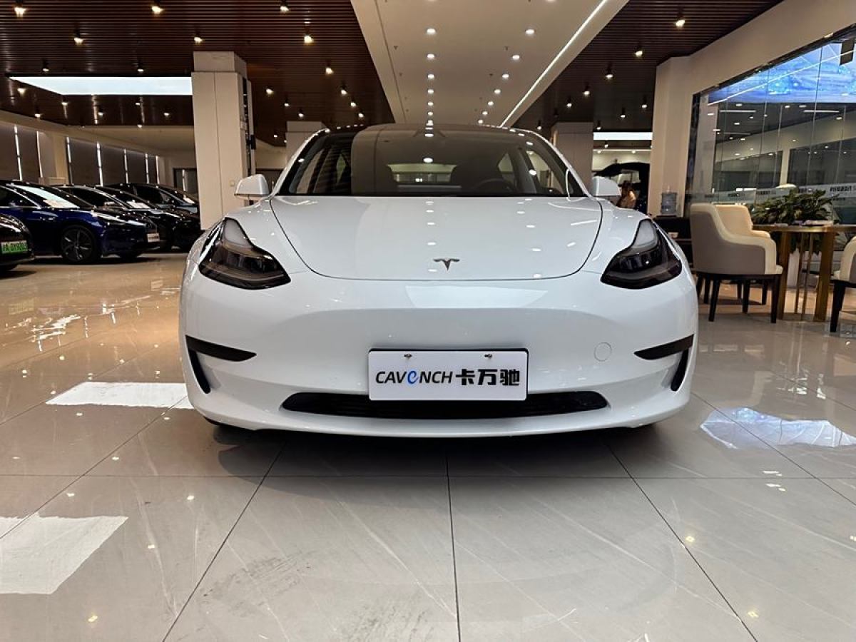 特斯拉 Model 3  2020款 改款 標(biāo)準(zhǔn)續(xù)航后驅(qū)升級版圖片