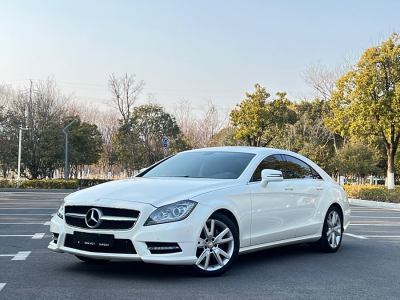 2014年11月 奔馳 奔馳CLS級(進(jìn)口) CLS 300 CGI圖片