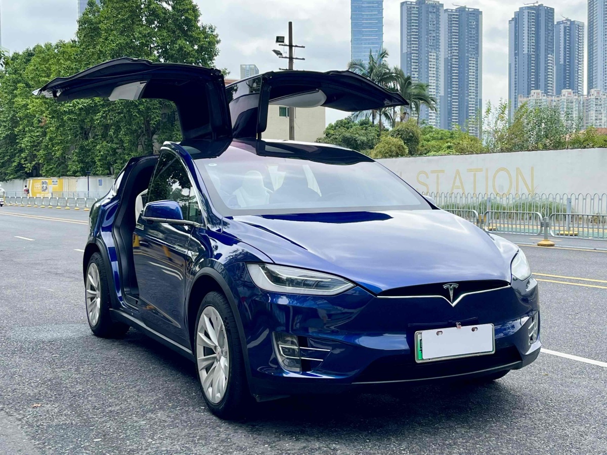 特斯拉 Model X  2016款 Model X 75D圖片