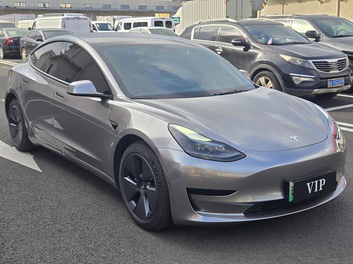 特斯拉 Model 3  2021款 標(biāo)準(zhǔn)續(xù)航后驅(qū)升級版 3D6圖片