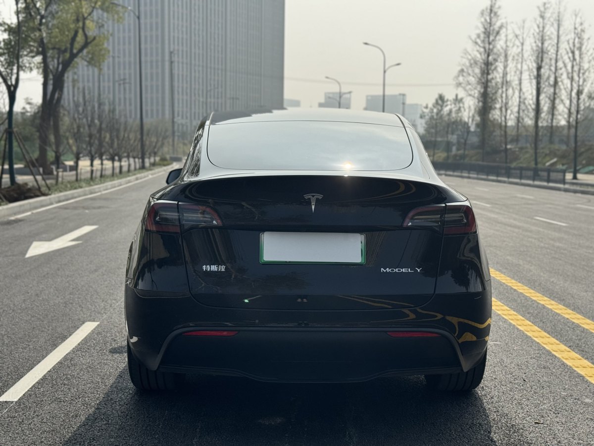 特斯拉 Model Y  2020款 改款 長(zhǎng)續(xù)航后輪驅(qū)動(dòng)版圖片