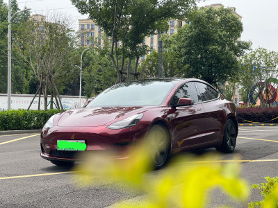 2021年2月 特斯拉 Model 3 改款 標(biāo)準(zhǔn)續(xù)航后驅(qū)升級版圖片