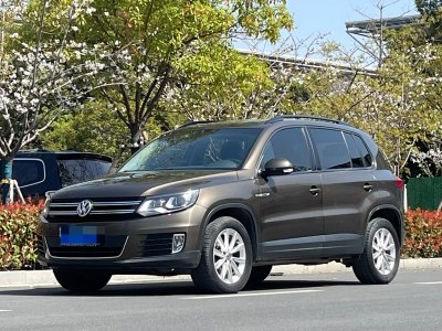 2016年3月 大眾 途觀 1.8TSI 自動(dòng)四驅(qū)風(fēng)尚視野版圖片