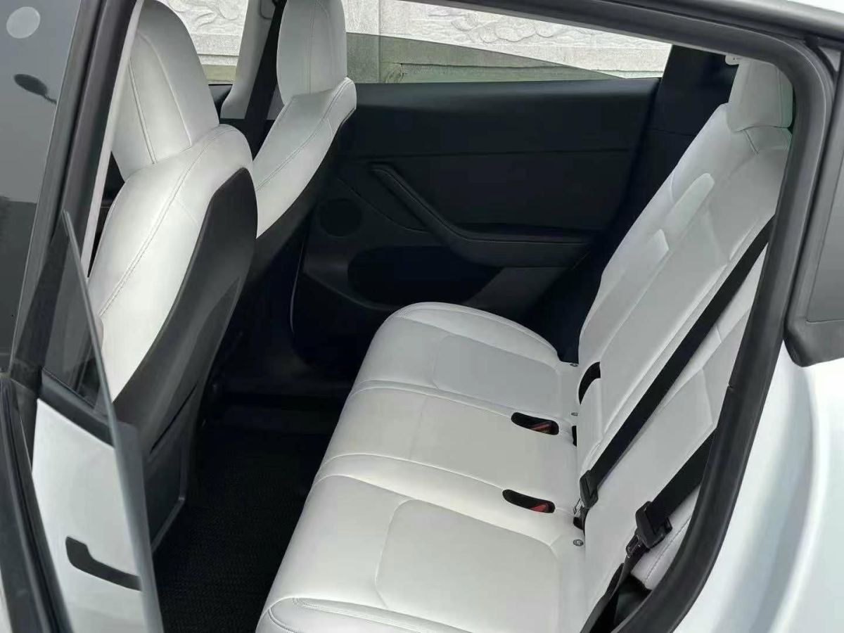 特斯拉 Model Y  2022款 Performance高性能全輪驅(qū)動版圖片