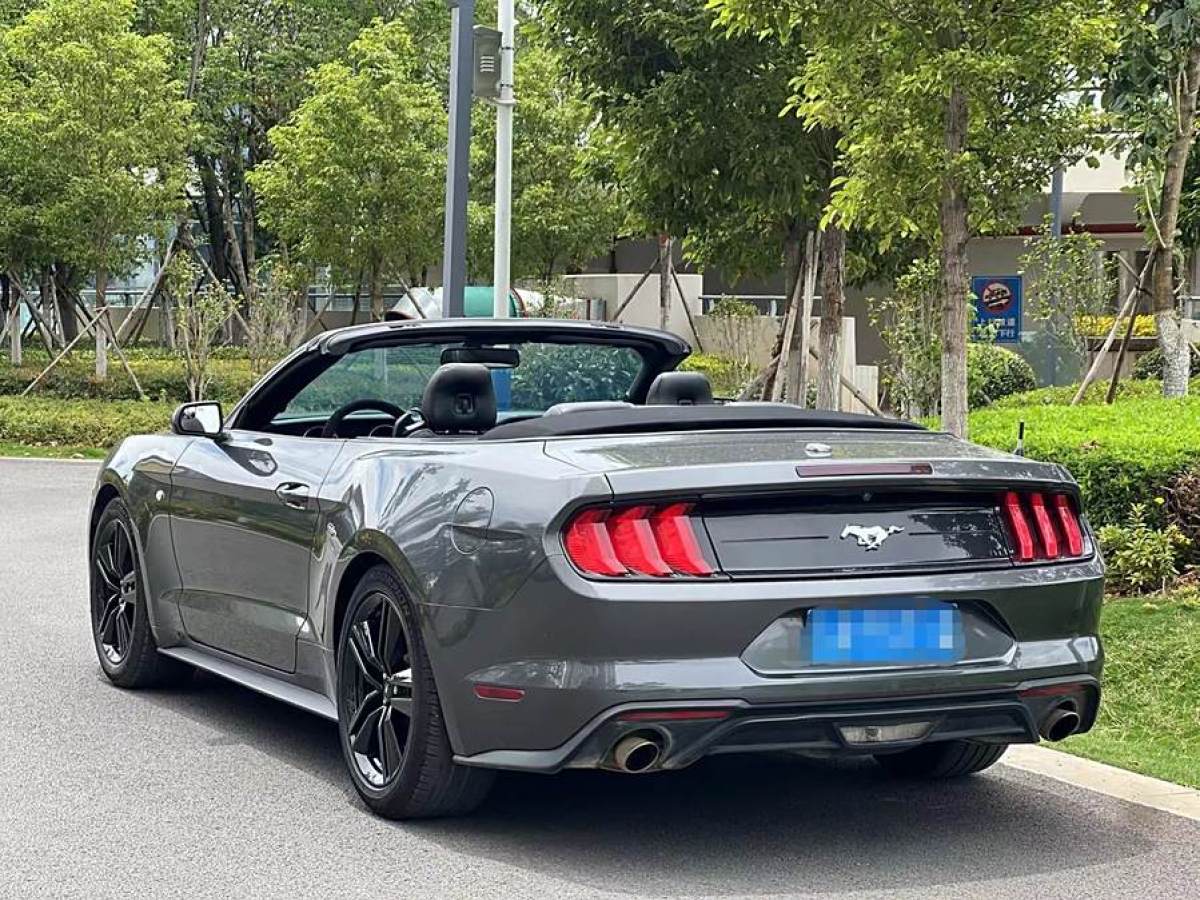 福特 Mustang  2019款 2.3L EcoBoost圖片