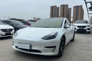 Model 3 特斯拉 标准续航后驱升级版