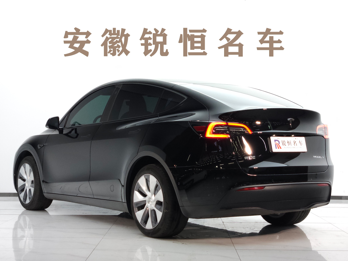 特斯拉 Model Y  2020款 改款 長續(xù)航后輪驅(qū)動(dòng)版圖片