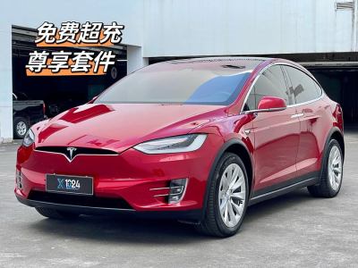 2018年12月 特斯拉 Model X Model X 75D圖片