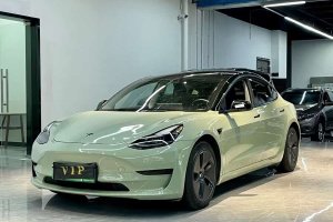 Model 3 特斯拉 后輪驅(qū)動版