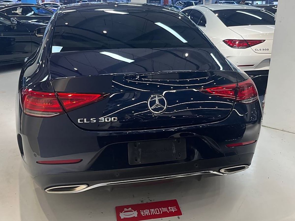 2019年10月奔馳 奔馳CLS級(jí)  2023款 改款 CLS 300 豪華型