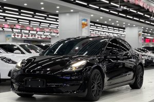 Model 3 特斯拉 改款 Performance高性能全輪驅(qū)動版
