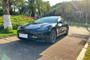 Model 3 特斯拉 后輪驅(qū)動版
