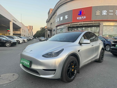 特斯拉 Model 3 后輪驅(qū)動(dòng)版圖片