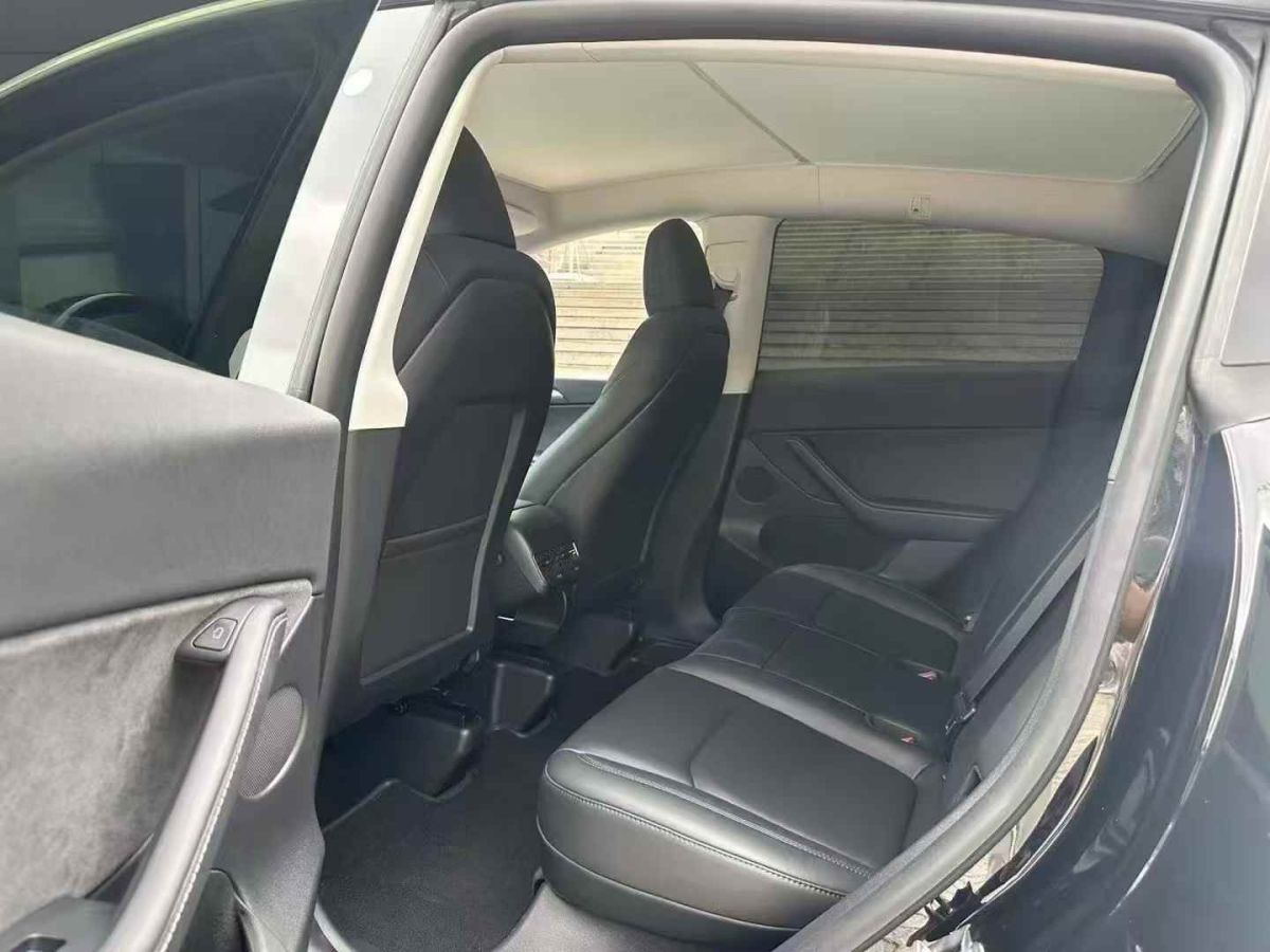 特斯拉 Model Y  2024款 Performance高性能版圖片