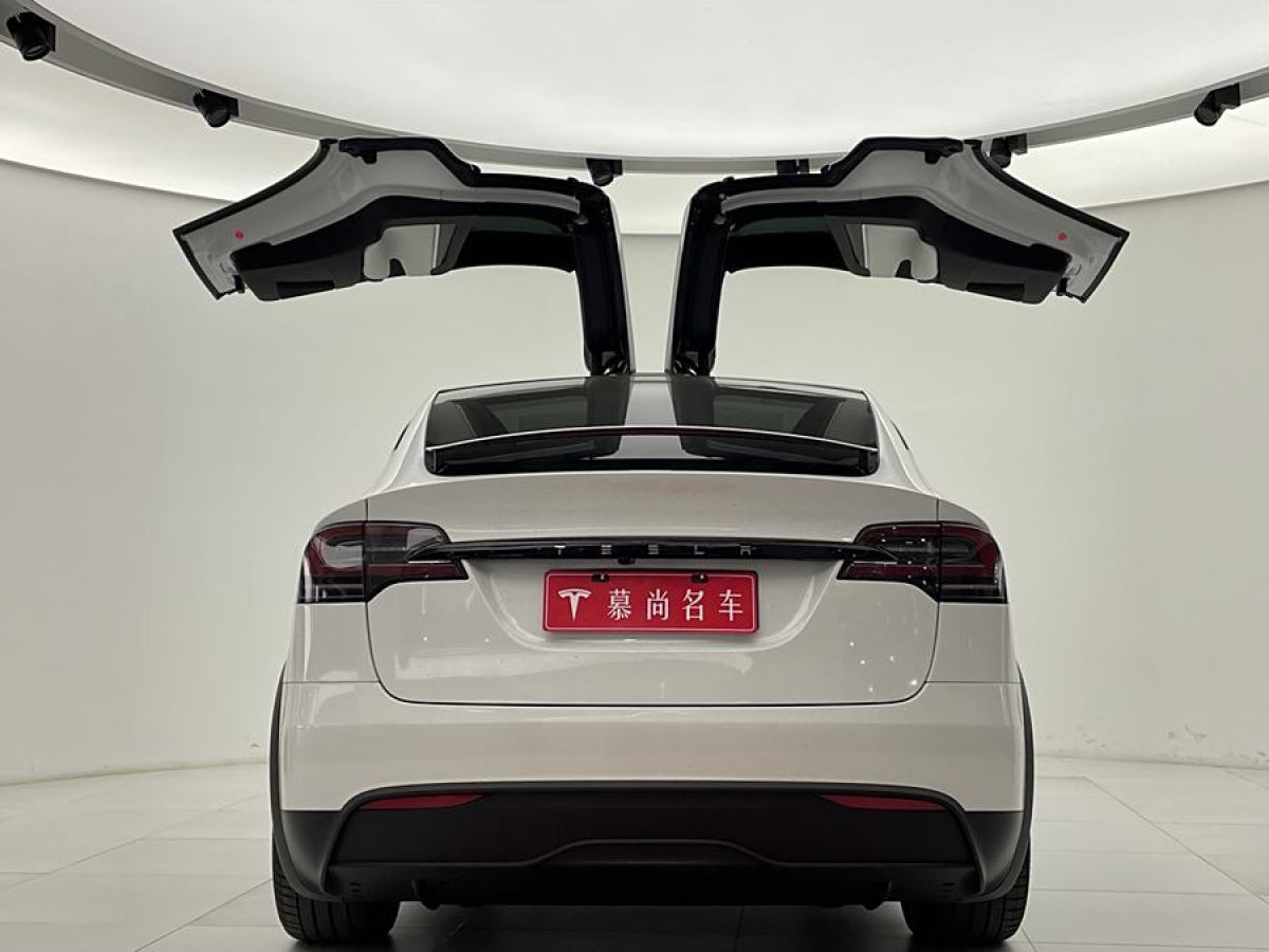 特斯拉 Model X  2023款 雙電機(jī)全輪驅(qū)動(dòng)版圖片