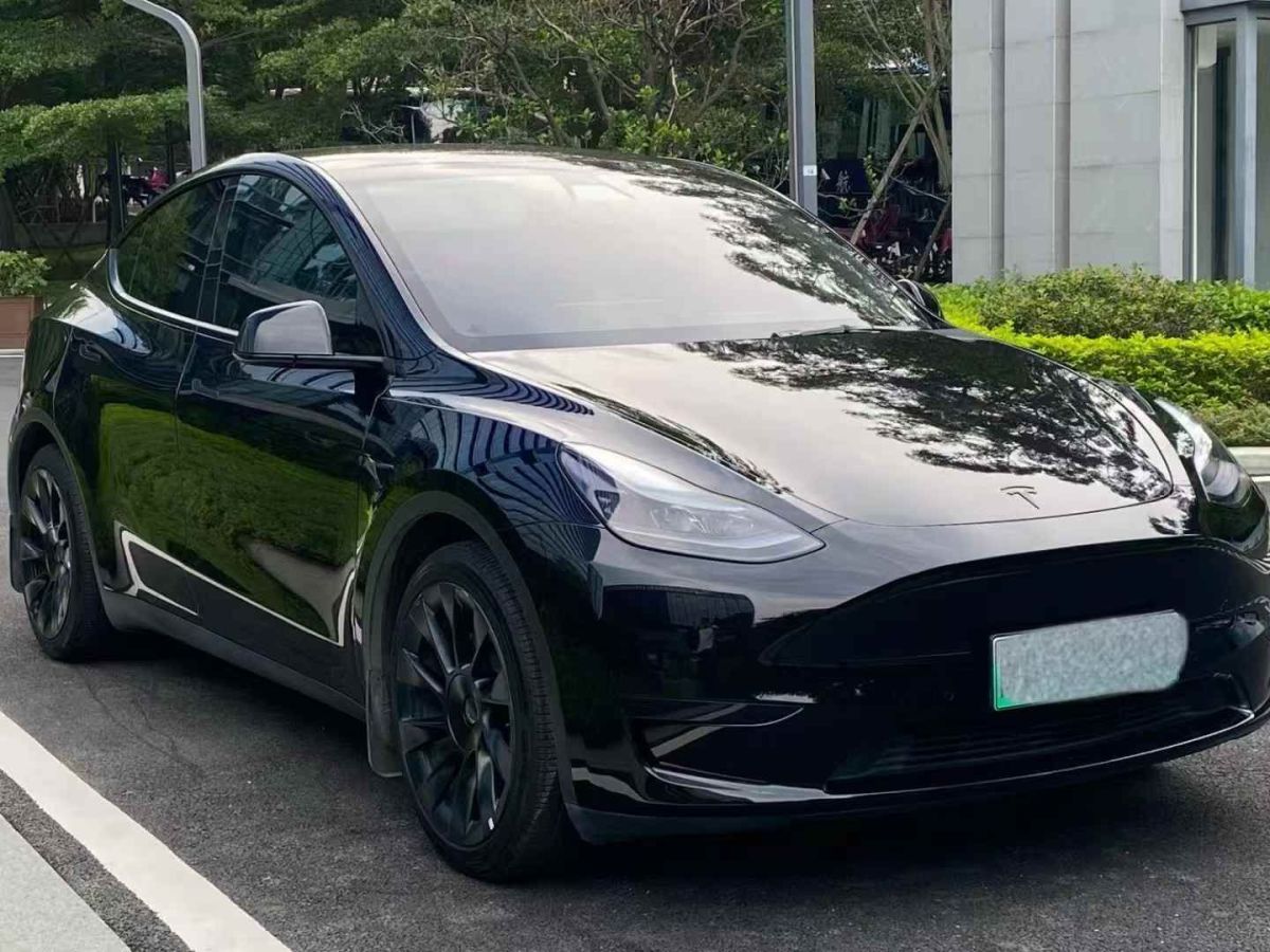 特斯拉 Model Y  2022款 Performance高性能全輪驅(qū)動(dòng)版圖片