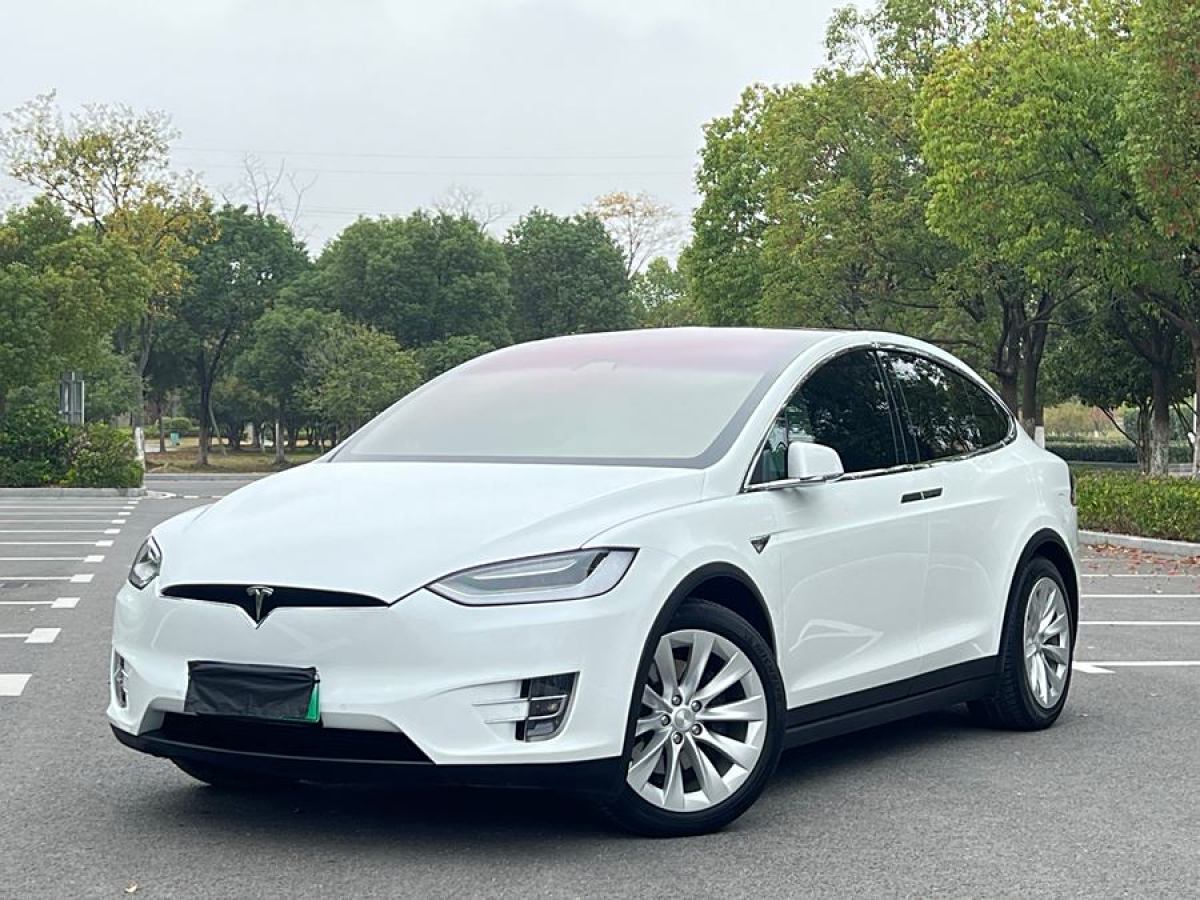 特斯拉 Model X  2017款 Model X 100D 長(zhǎng)續(xù)航版圖片