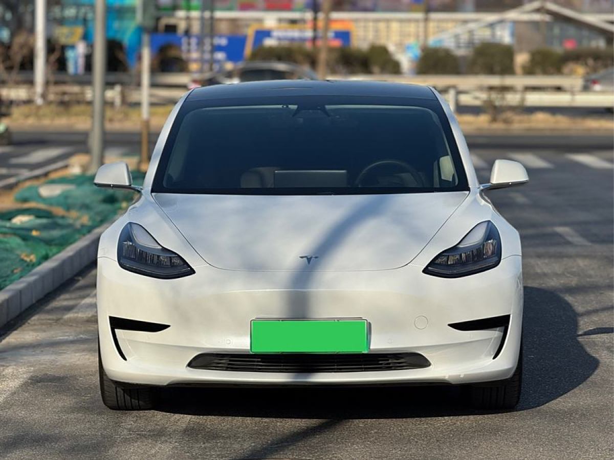 特斯拉 Model 3  2019款 標(biāo)準(zhǔn)續(xù)航后驅(qū)升級(jí)版圖片