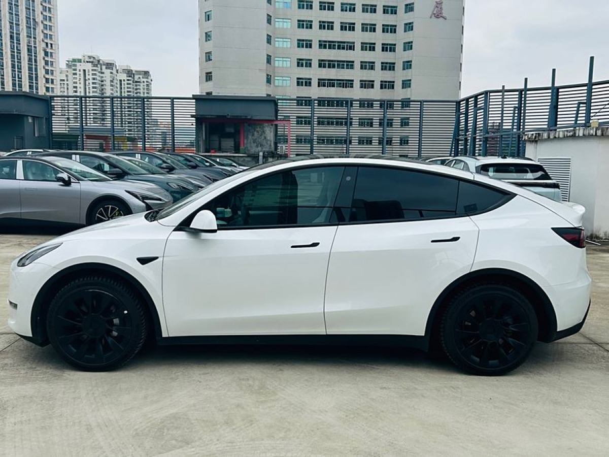 特斯拉 Model Y  2022款 改款 長(zhǎng)續(xù)航全輪驅(qū)動(dòng)版圖片